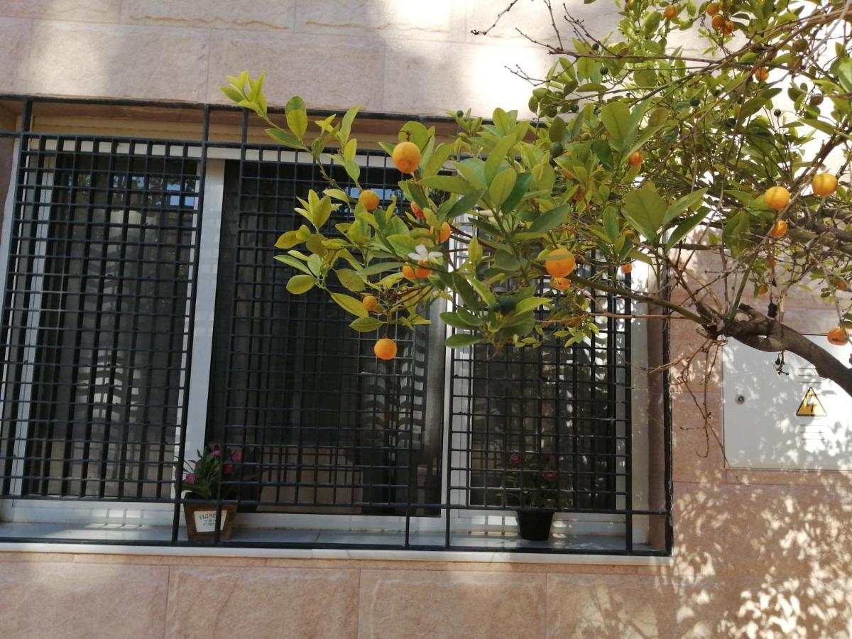 Apartamento Alcazaba Apartment Ubeda  Bagian luar foto